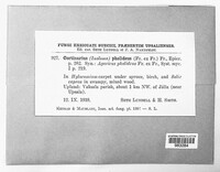 Image Associated With the Occurence